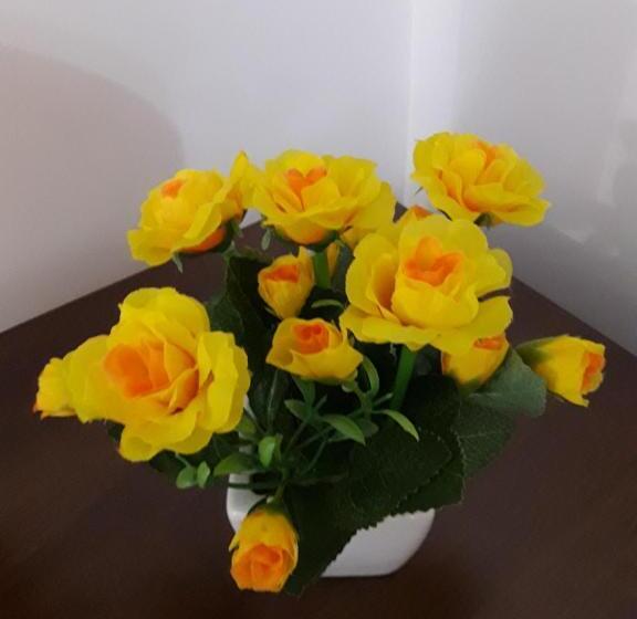 تختخواب و صبحانه Stella