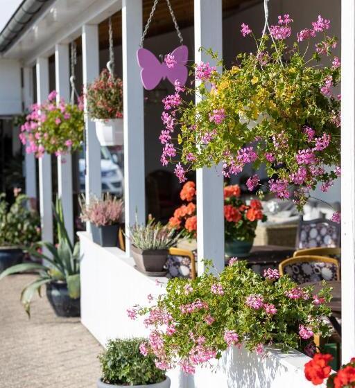 Familien  Und Aparthotel Strandhof