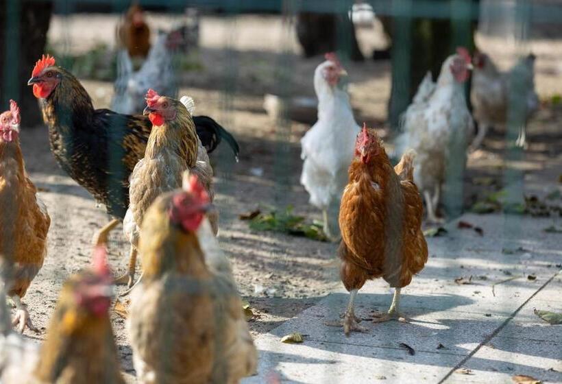 Familien  Und Aparthotel Strandhof