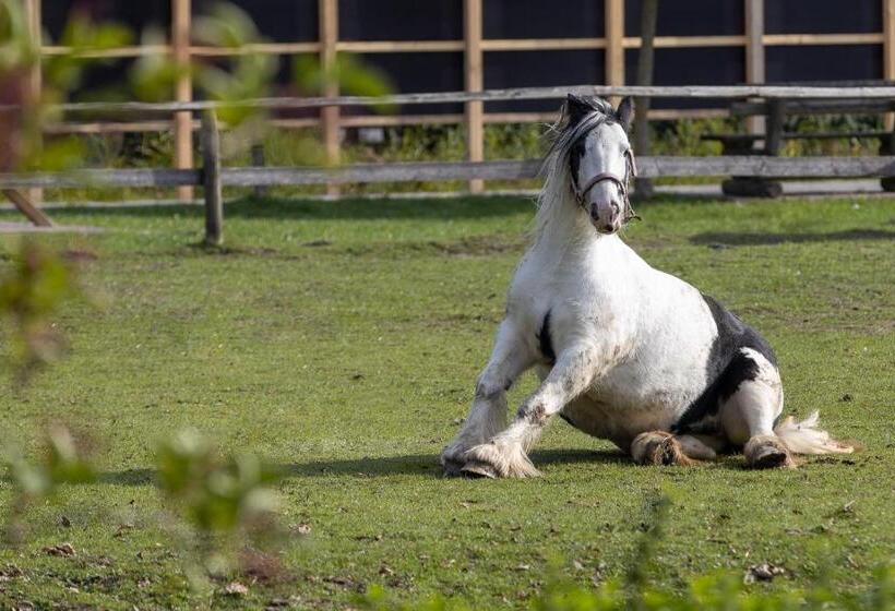 Familien  Und Aparthotel Strandhof