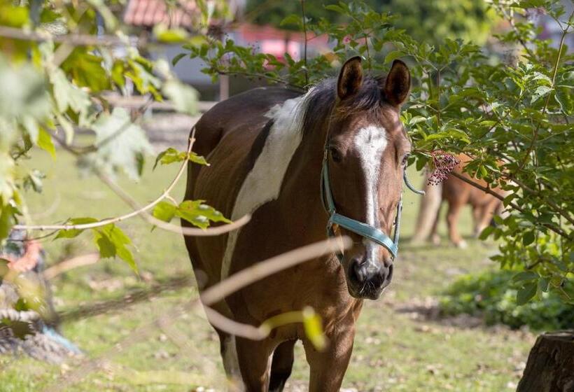 Familien  Und Aparthotel Strandhof