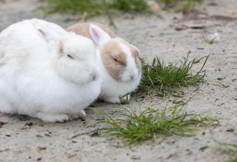 Familien  Und Aparthotel Strandhof