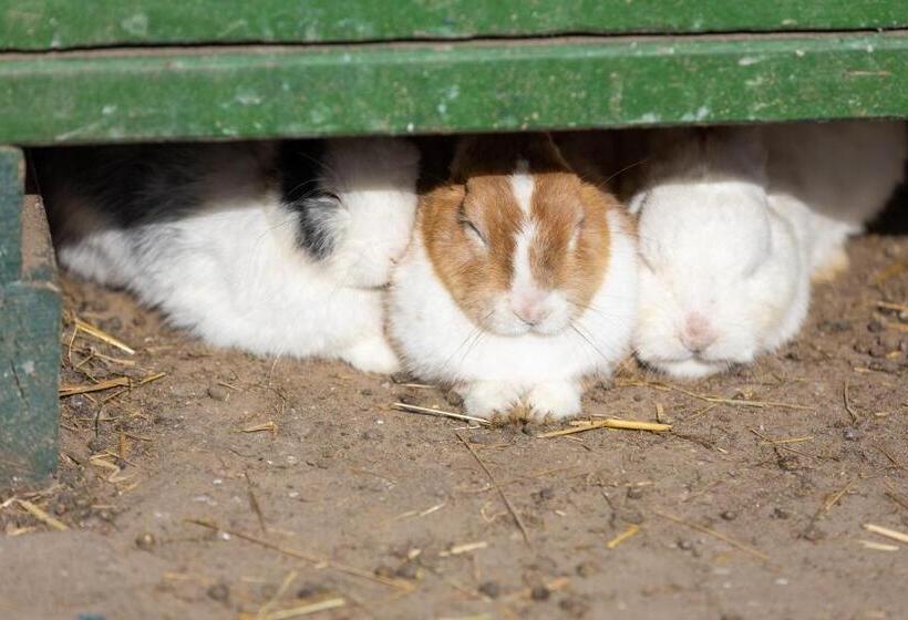 Familien  Und Aparthotel Strandhof
