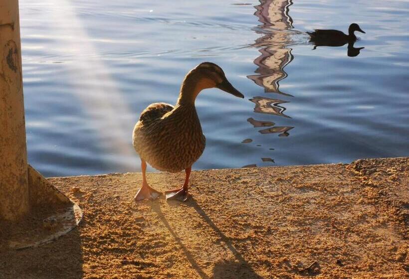 Ferienparadies Gutounik