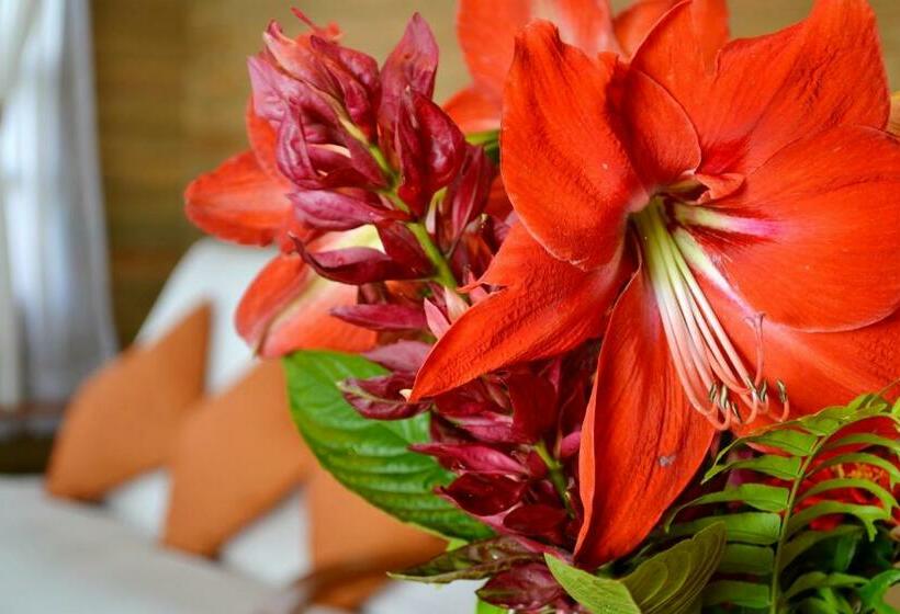 ホテル Finca Hamburgo La Ruta Del Cafe