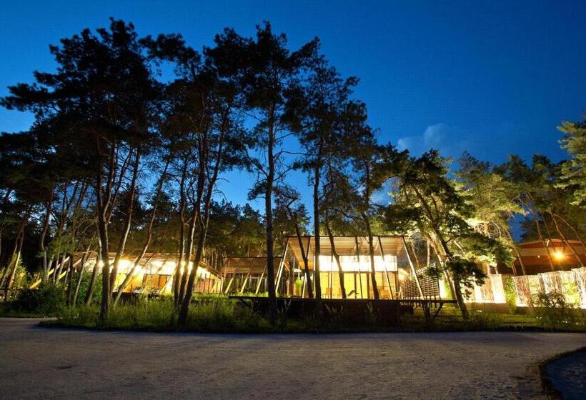 בית מלון כפרי Good Zone