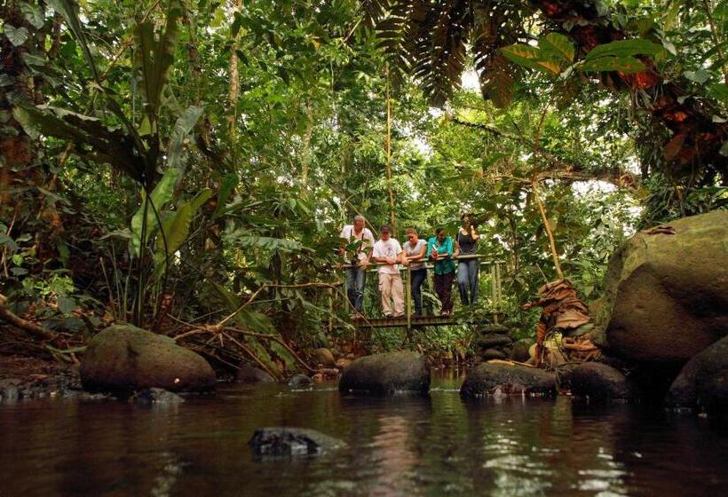 فندق Hacienda La Isla Lodge
