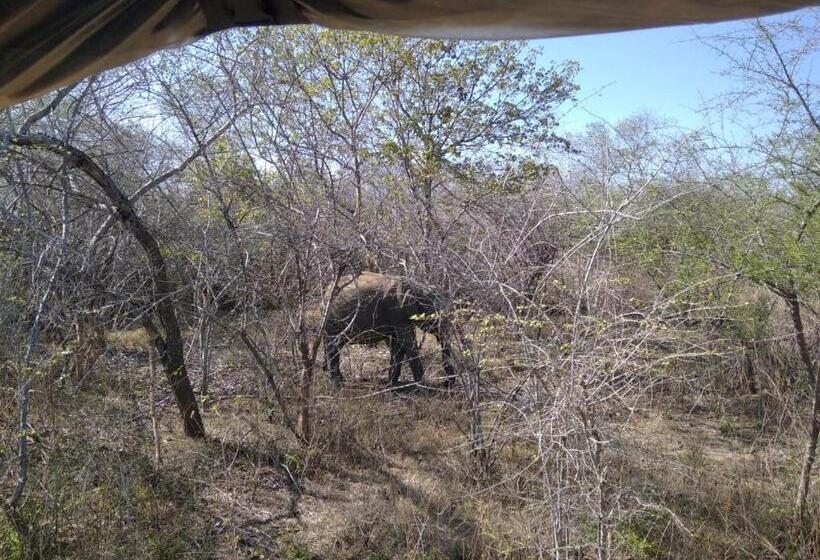 酒店 Lakma Sea View