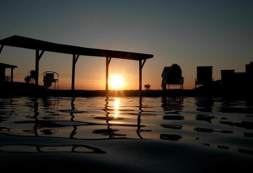 酒店 Los Naranjos Resort & Spa Termal