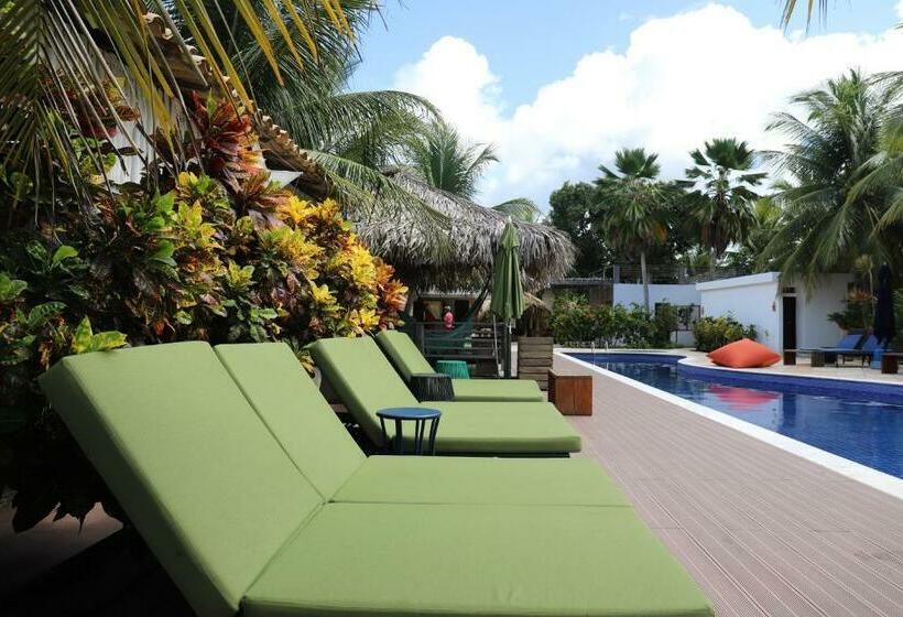 호텔 Pousada Do Toque