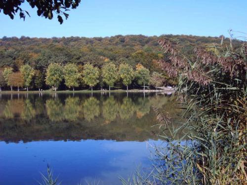 فندق Restaurant Des Lacs