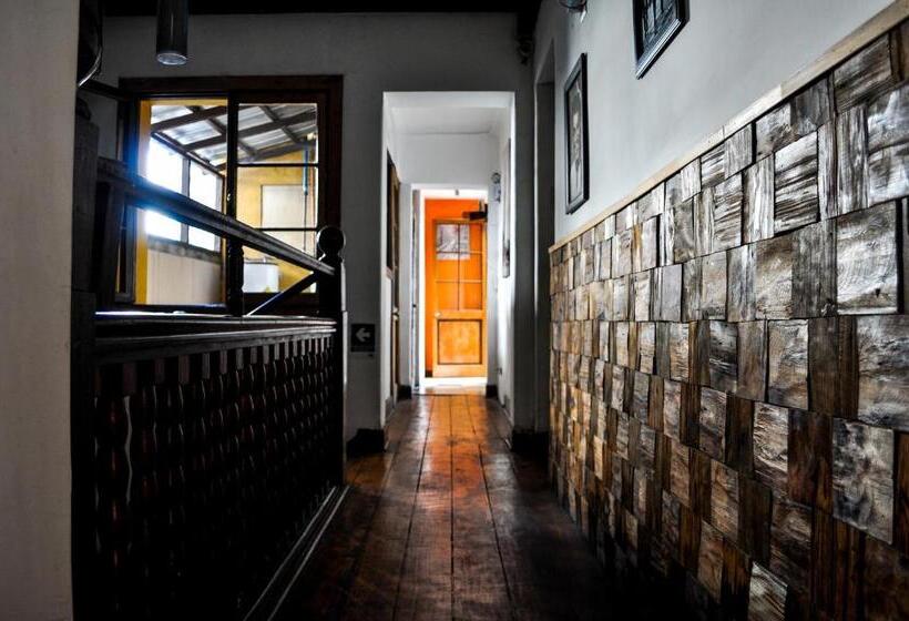 膳宿费 The Fox Hostel