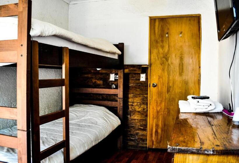 膳宿费 The Fox Hostel