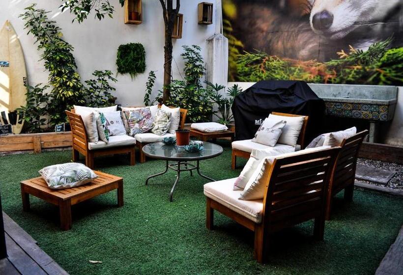 膳宿费 The Fox Hostel