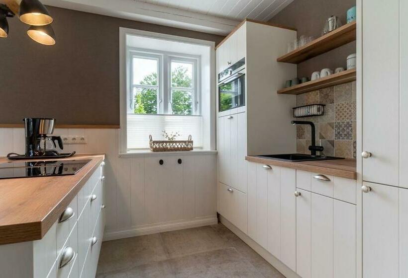 Reetdachhaus Unter Reet Reetdachhaus Unter Reet Ii