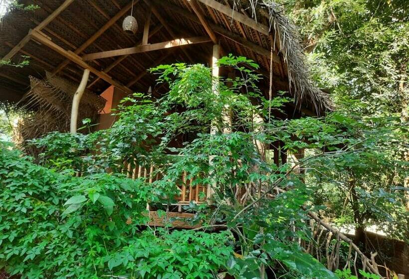 渡假胜地  Habarana Tree House Mutu Village