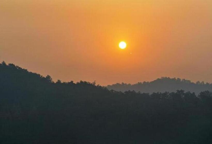 리조트 Le Roi Corbett