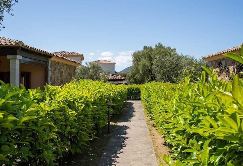 Welcomely   Il Bouquet