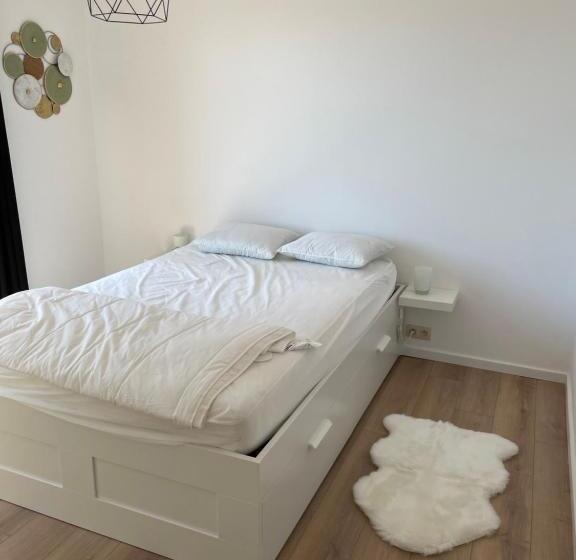 Appartement Place Léopold 1er à La Panne à 100m De La Plage