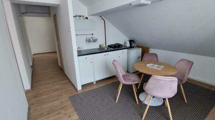 Central Palace Iași Apart 2