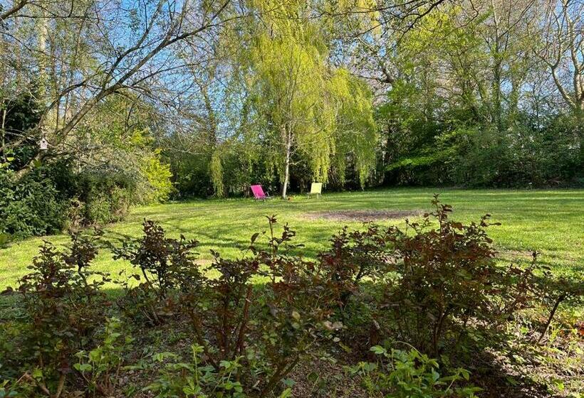 L Ile Des Iris à 200 M De La Plage