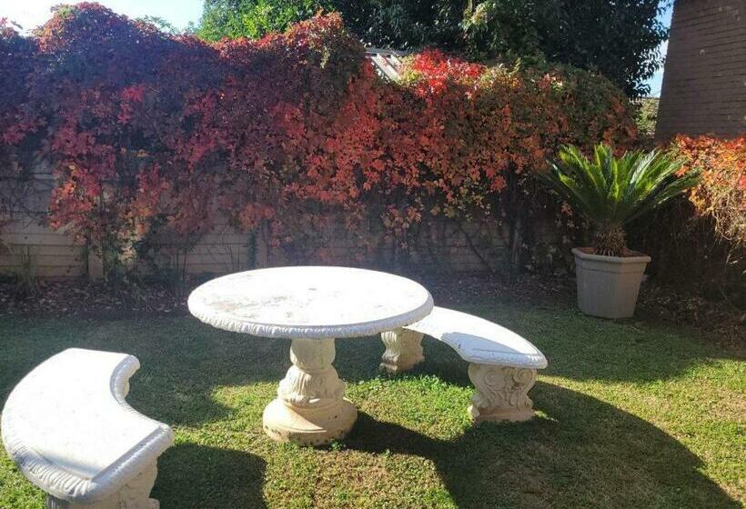 Cosy   Best Rest Potch