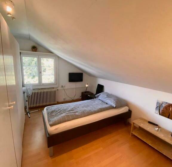 Budgetapartment Zeppelin Von Swisspartments