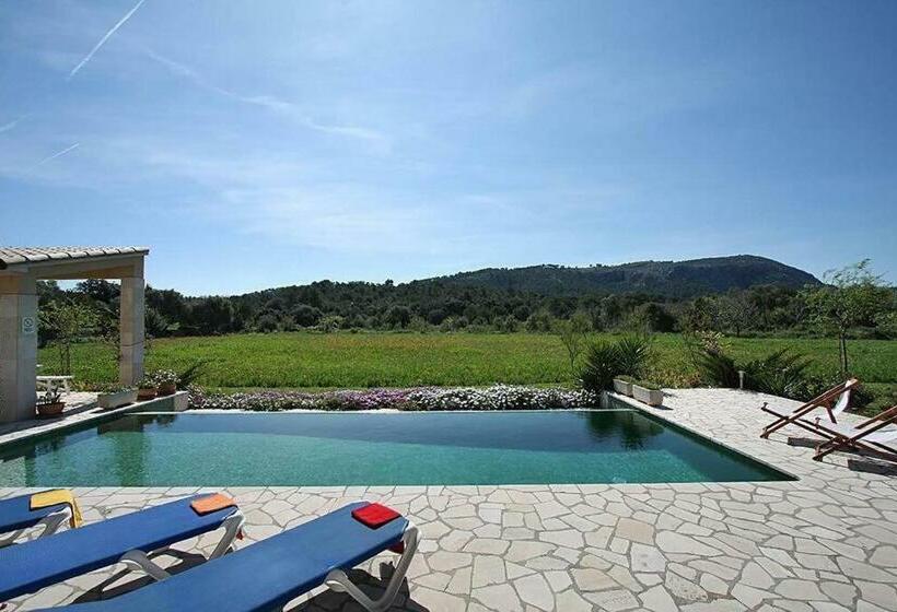 Elegant And Modern Designed With Comfort And Style, Special Prices Car Hire For The Guests