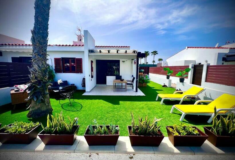 Escarabajo Bungalow Il Maggiolino