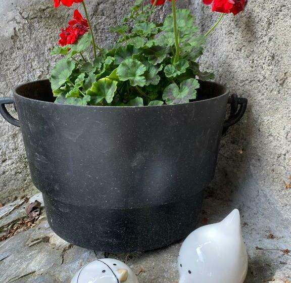 La Grange De Soulalex