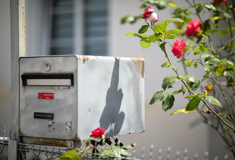 Le Coquet Chez Maguy Maison De Ville Avec Jardin