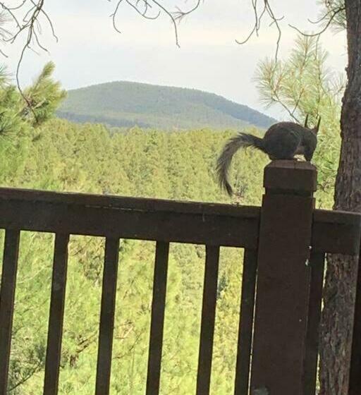 Neck Of The Woods! Canyon Views! Breathtaking!