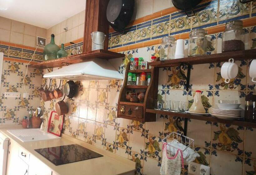 Sois 8 633o9o9veinte Preguntar Antes