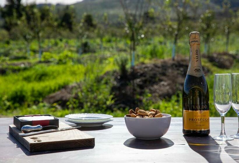 20 Good Summers Farm Stay