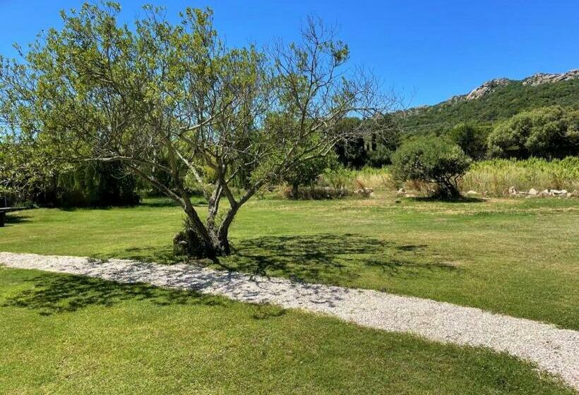 Intero Alloggio   4 Room Apartment