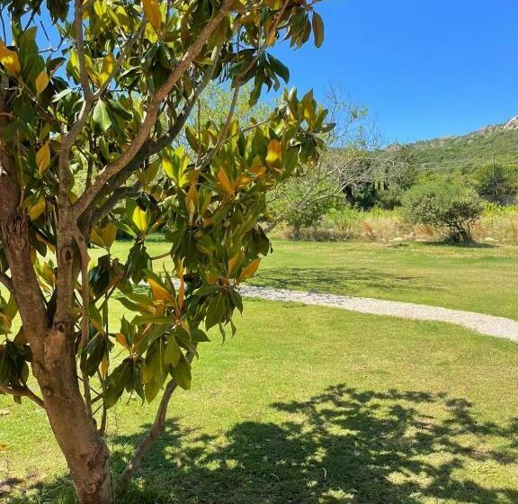 Intero Alloggio   4 Room Apartment