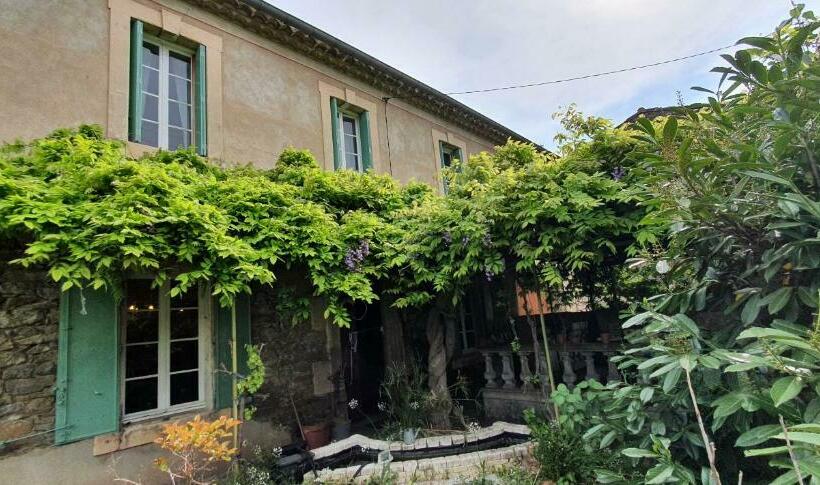 La Muscadelle : Le Calme Du Sud De La France