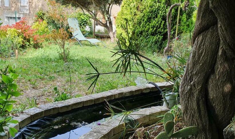 La Muscadelle : Le Calme Du Sud De La France