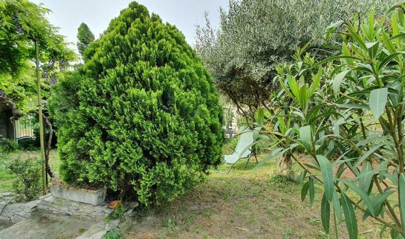 La Muscadelle : Le Calme Du Sud De La France