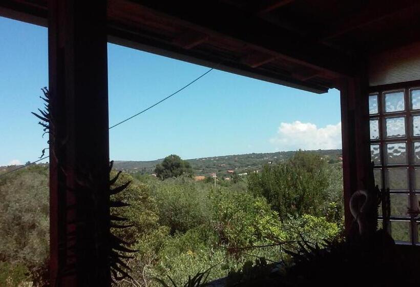 Mansardina Il Girasole