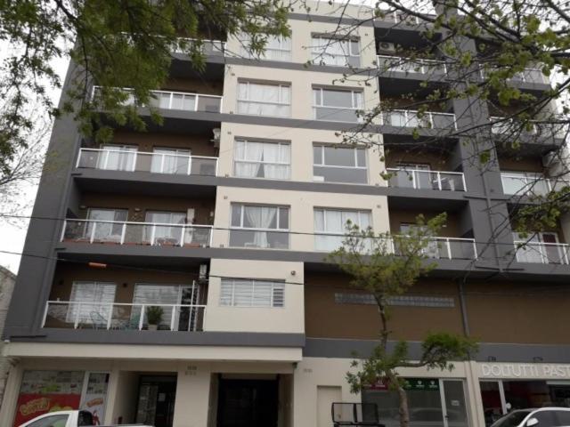 Mono Bruno, Centro De Cipo By Ac