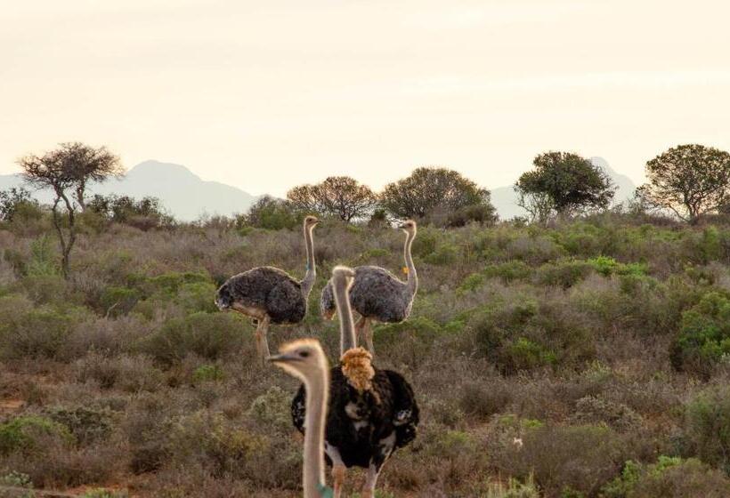 Oudtshoorn Self Catering Home