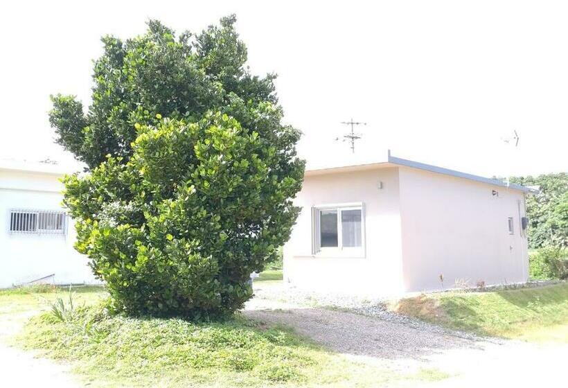 Tandi Ga Tandi   Vacation Stay 12993