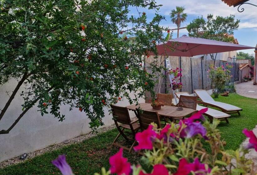 Cocciu D Amuri Luxury