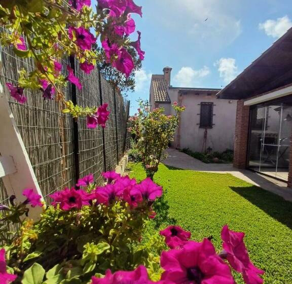 Cocciu D Amuri Luxury