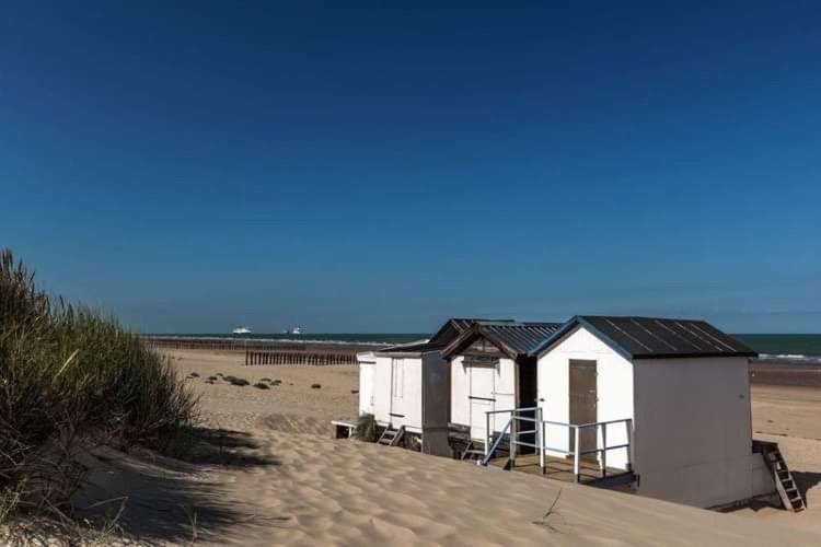 Jeter L’ancre   Studio