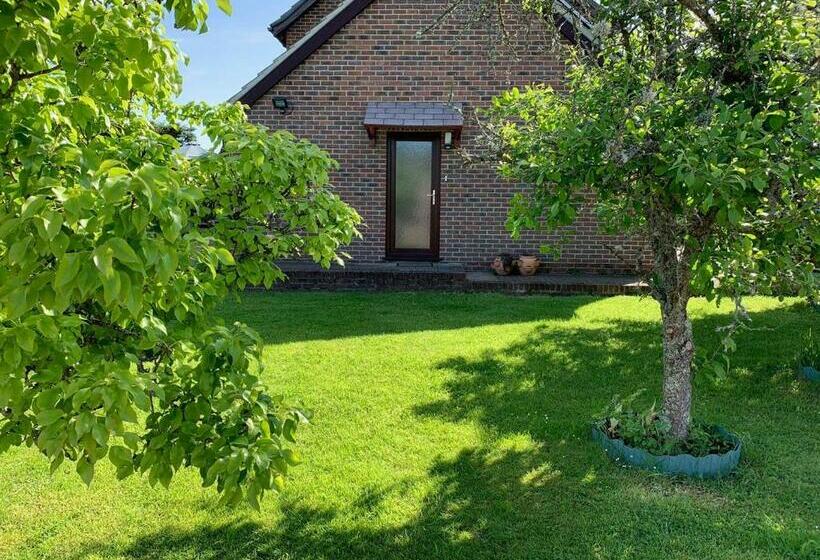 New Forest Hideaway  Self Catering Accommodation