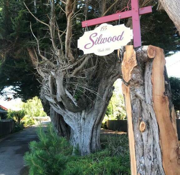 Silwood Apartment Fully Self Contained With Kitchen And Laundry