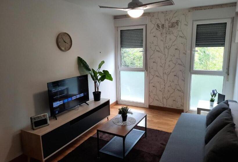 Apartamentos Parke24   San Sebastian