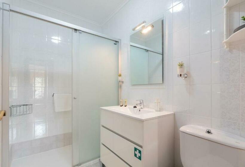 Botanika   Baskey Rentals